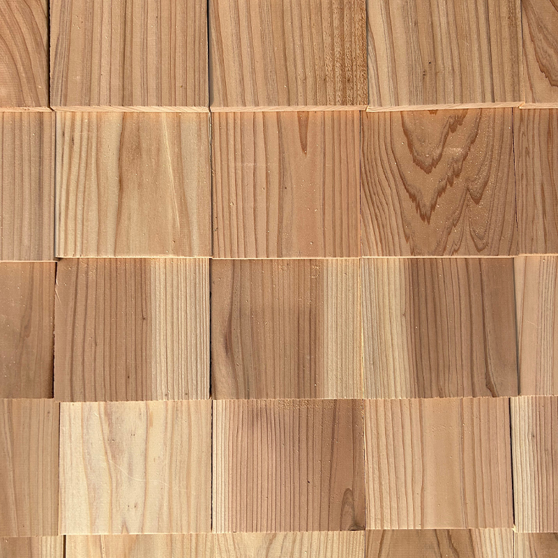 Japanilainen Sugi-puupaanu